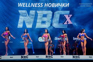 WELLNESS НОВИЧКИ